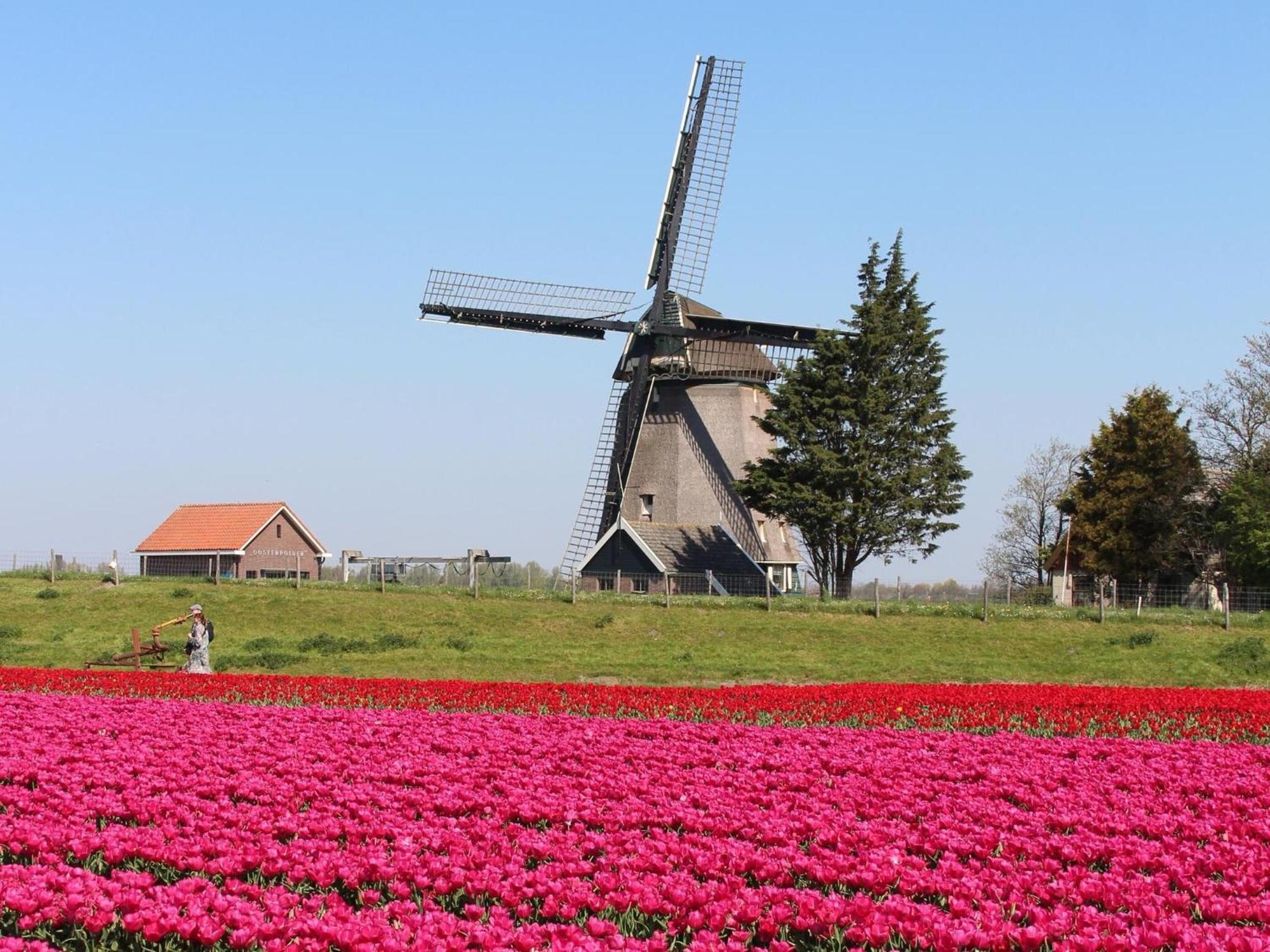 Holiday Home With Fabulous Garden Sint Maartensvlotbrug Exterior foto